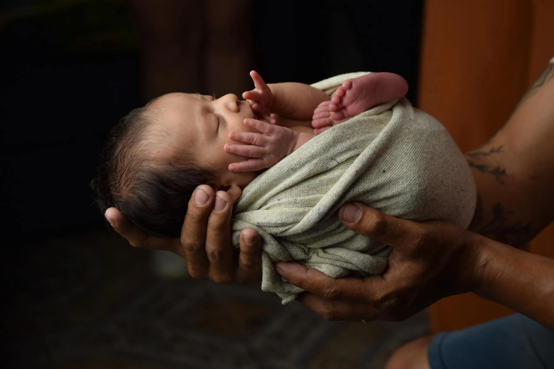 Pentingnya Support Teknis Hosting untuk Pemula Website